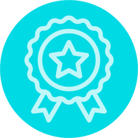 Slalom LP icons-market